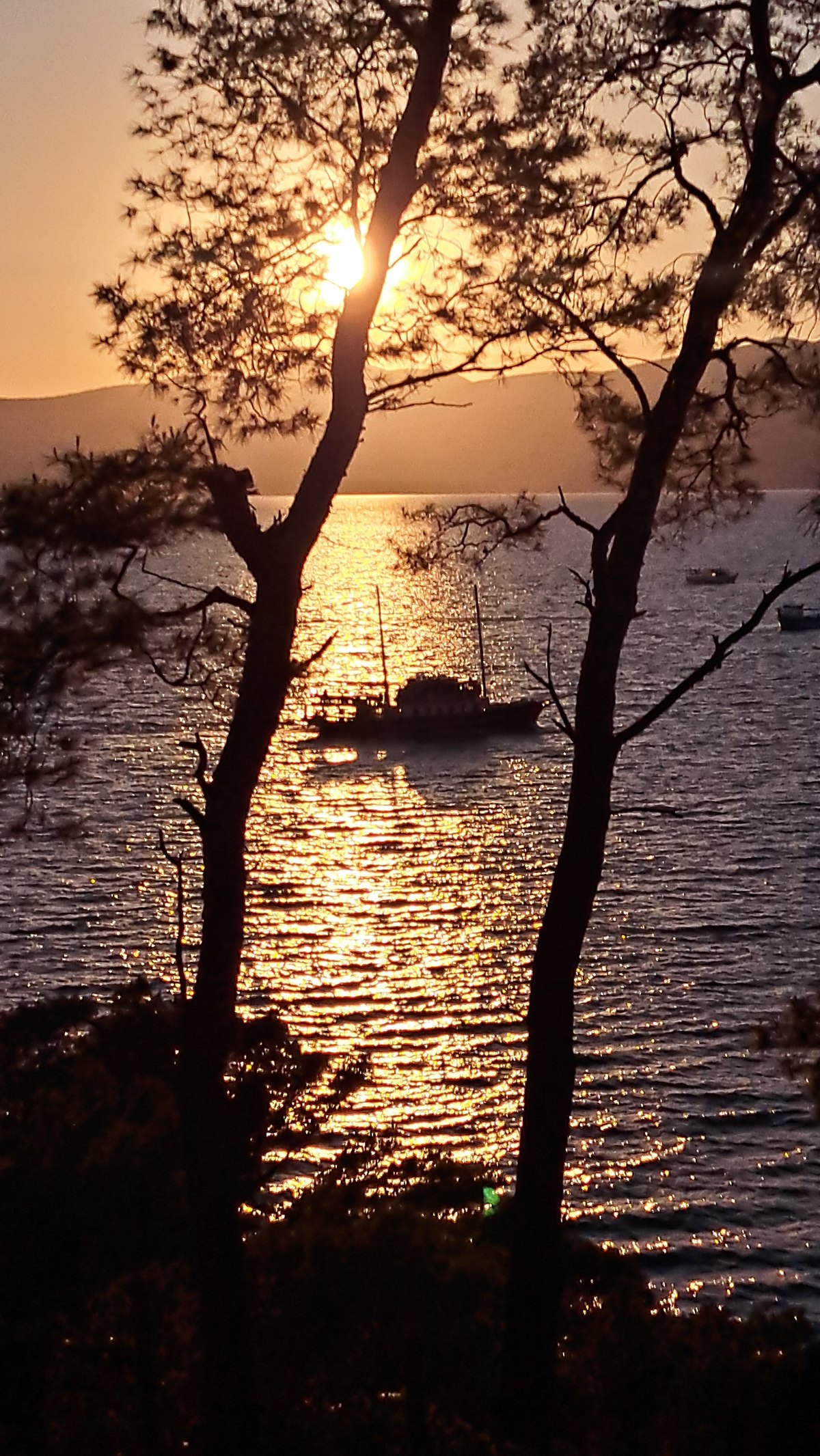 The yacht Polaris at golden hour, framed by pine trees with the sun setting over the Adriatic