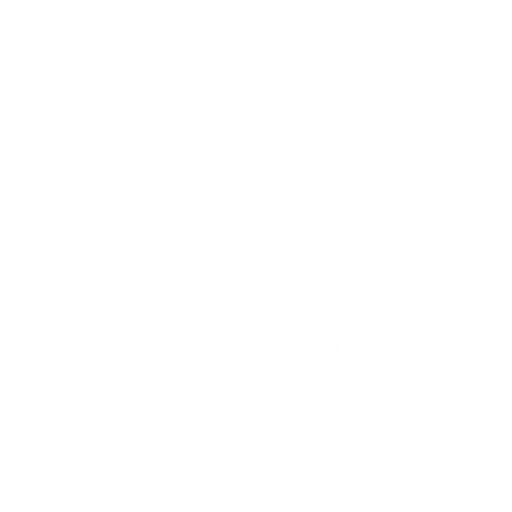 Polaris Split logo