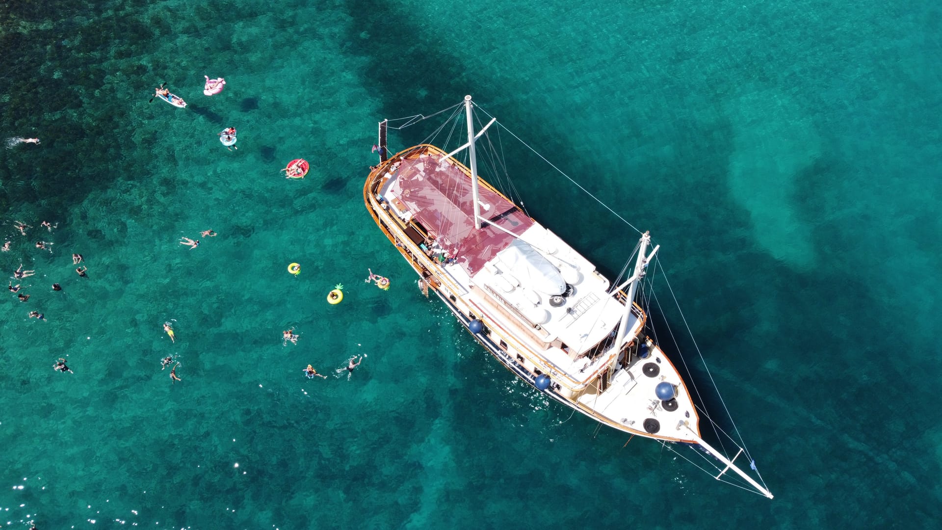 Draufsicht auf die Polaris, umgeben von Schwimmern und Schwimmtieren