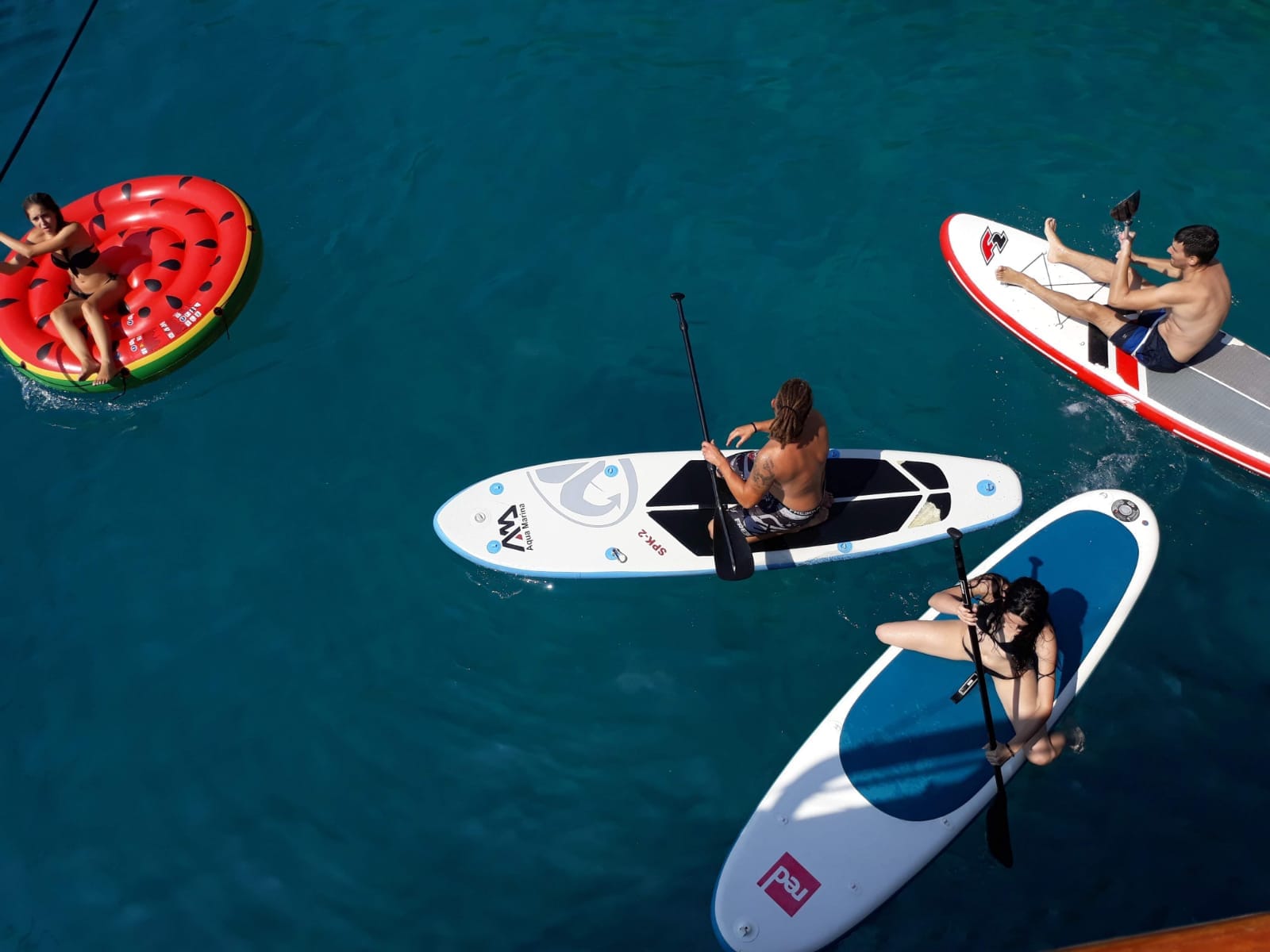 Stand-up-Paddling und Schwimmtiere in kristallklarem Wasser